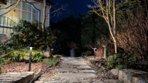 Landscape path lighting illuminating a garden walkway at night