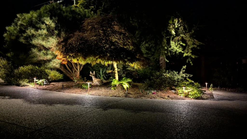 Side garden illuminated in Victoria, BC