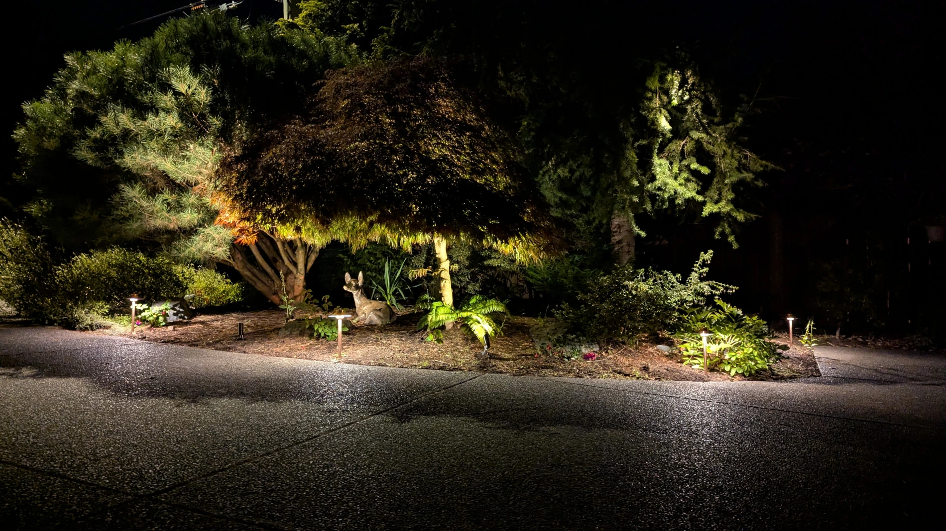 Side garden illuminated in Victoria, BC