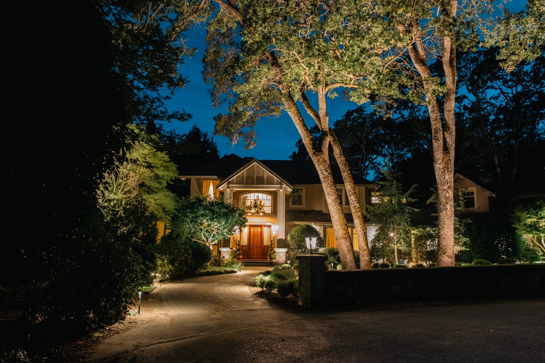 Professional landscape lighting illuminating a Victoria BC home, mature trees and front driveway at night