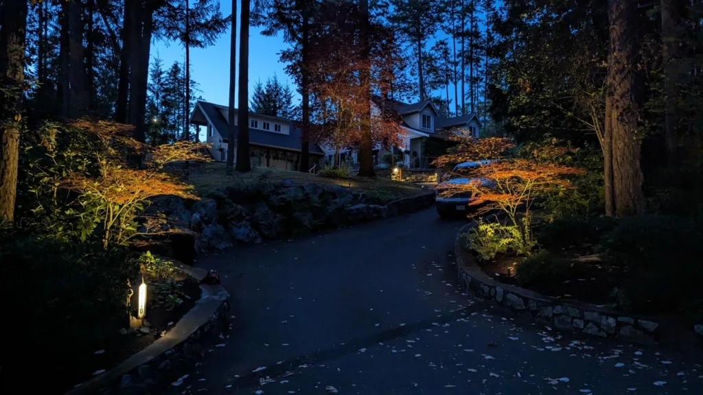 a Victoria garden/pathway lit up at night by professional landscape lighting