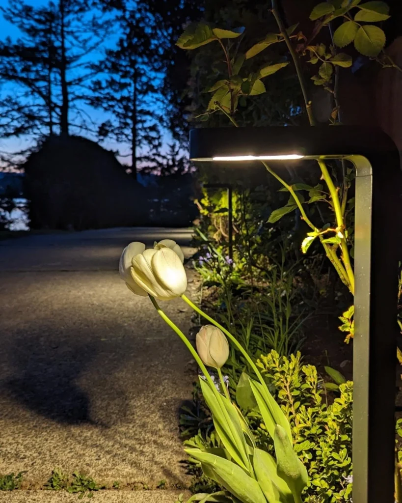 close-up of modern garden light at night