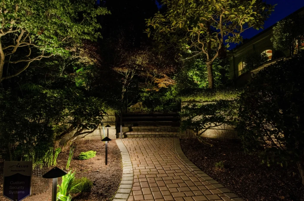 a Victoria garden lit up at night by professional landscape lighting