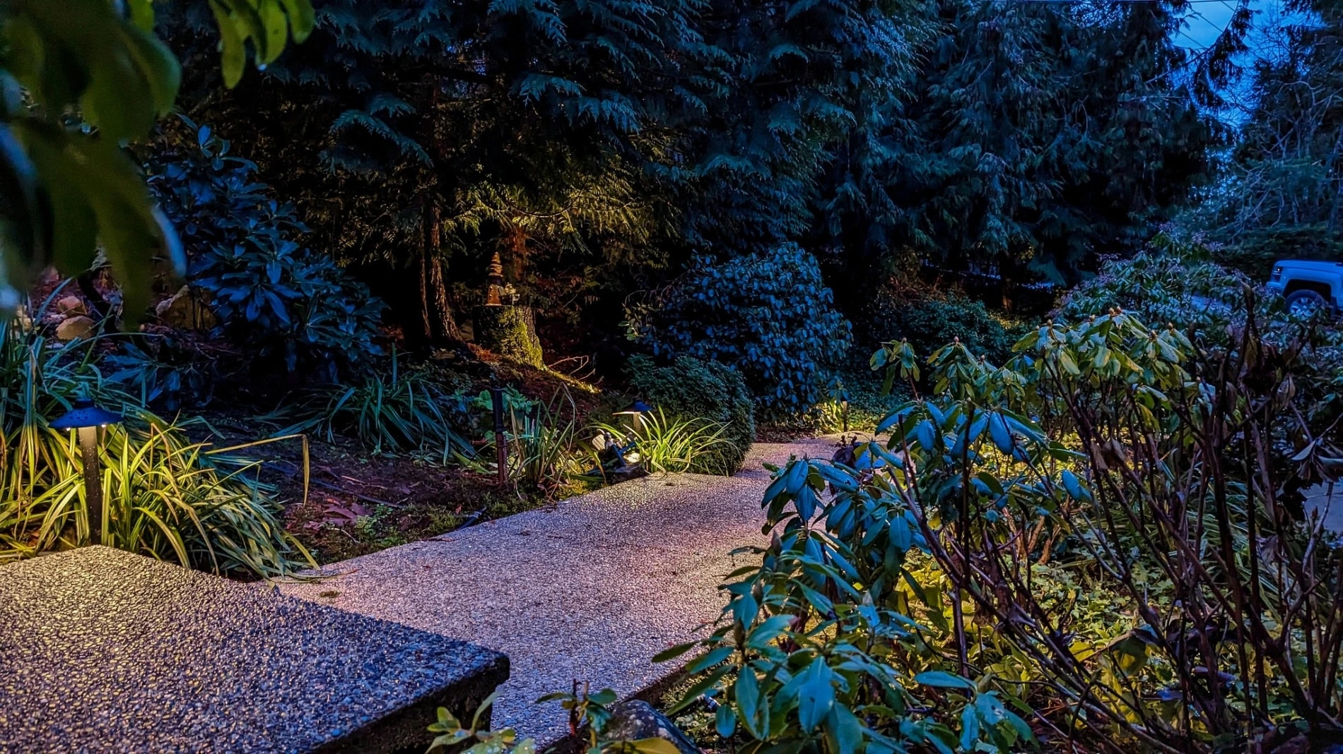 garden pathway lit up by professional landscape lighting