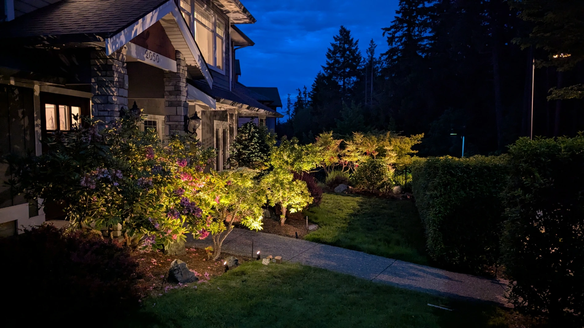 Garden outside of front door, beautifully up-lit.