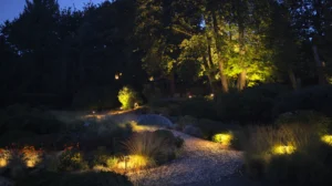 Backyard with professional landscape lighting path lights and uplights.