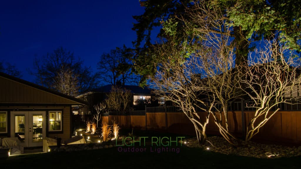 Outdoor Lighting back yard