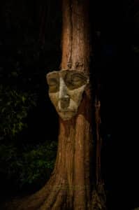 Face sculpture illuminated