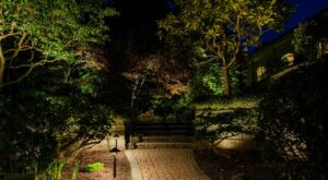 Landscape Lighting